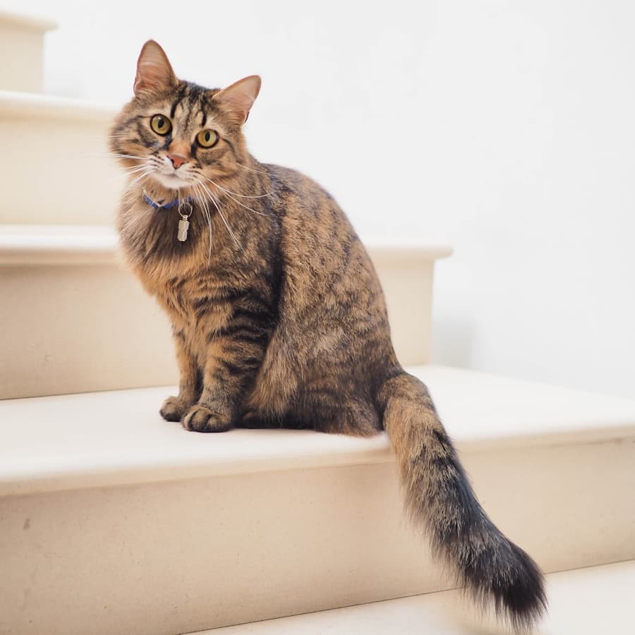 Nala
